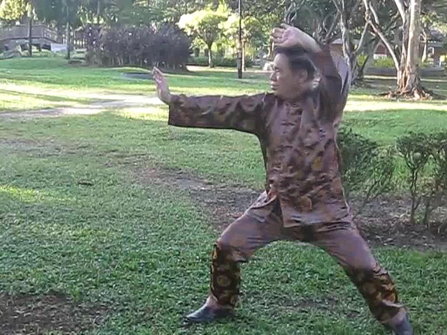 Wu Chuan You Style Taijiquan